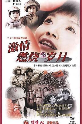 激情燃烧的岁月（2001）