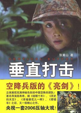 垂直打击（2006）